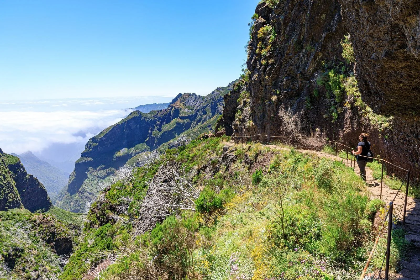 The trail cut into the cliff face on the climb up to Pico Ruivo