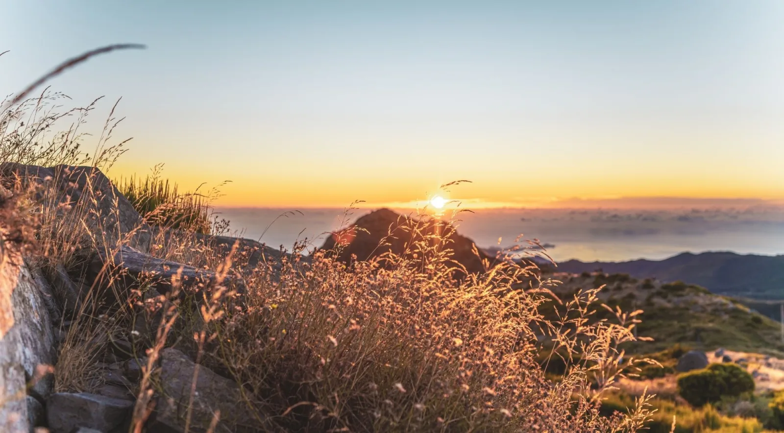 Backlit summit grasses as the sun clears the horizon at Pico do Arieiro