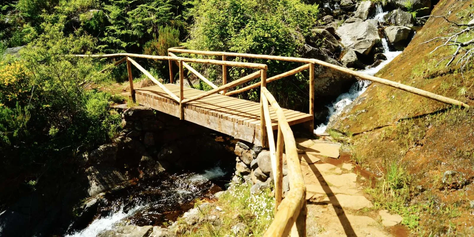 A wooden footbridge over a mountain stream on the wooded section of the walk